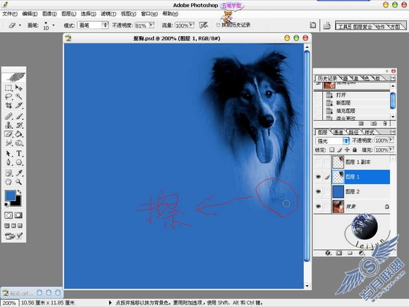Photoshop给美丽的狗狗抠图