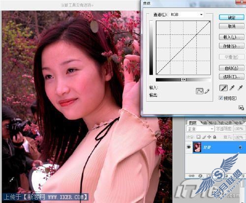 图1 Photoshop曲线工具
