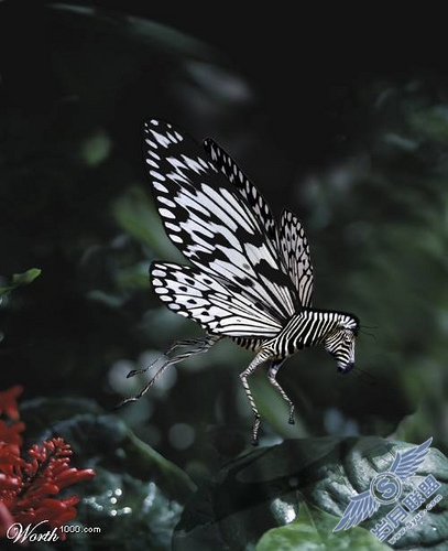 作品欣赏:Photoshop处理的图片特殊效果