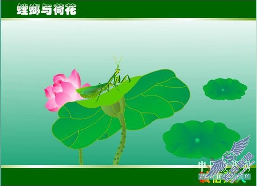 绘制逼真螳螂