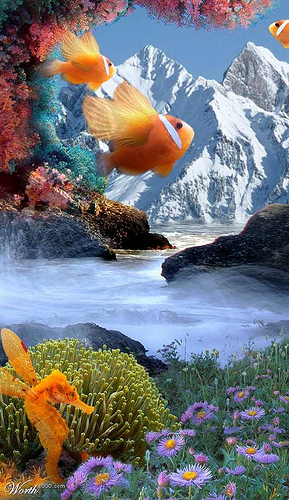 作品欣赏:Photoshop处理的图片特殊效果