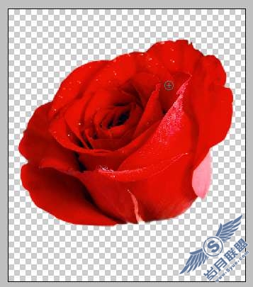 Photoshop设计制作LG KE800<a href=http://www.syue.com/Digital/Mobile/ target=_blank class=infotextkey>手机</a>海报【图】_
