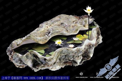 Photoshop图片合成教程二--生命的孕育