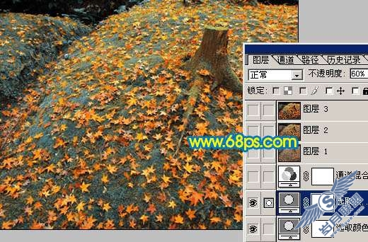 PhotoshopȻɫƬҶͼͼ_