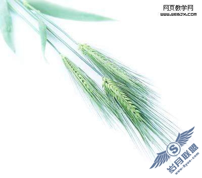 Photoshop签名制作教程:永不消失的电波