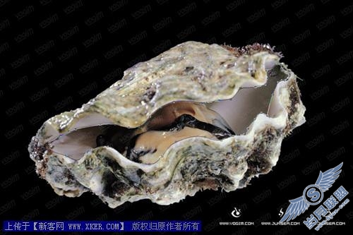 Photoshop图片合成教程二--生命的孕育
