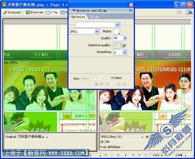 新手看过来
