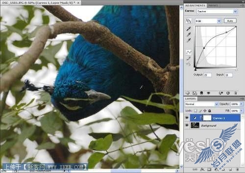 ѡ Photoshop CS4