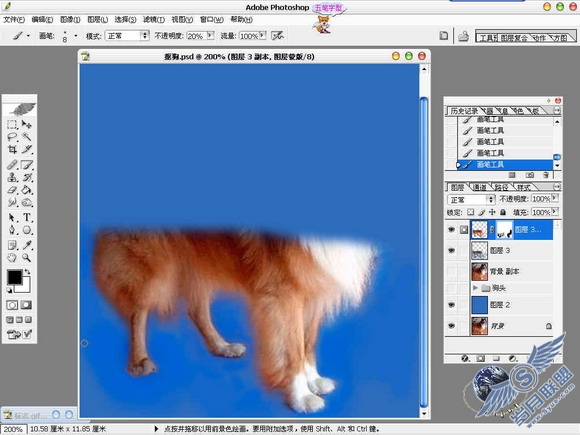 Photoshop给美丽的狗狗抠图