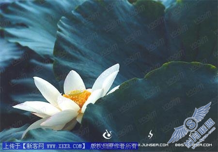 Photoshop图片合成教程二--生命的孕育
