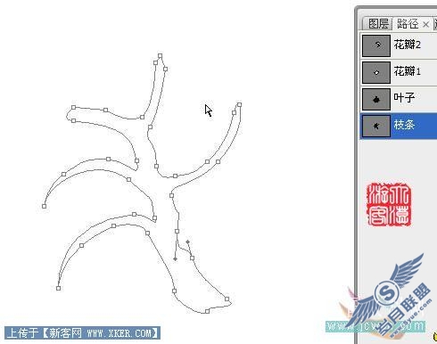 Photoshop鼠绘实例:手绘牡丹花的方法