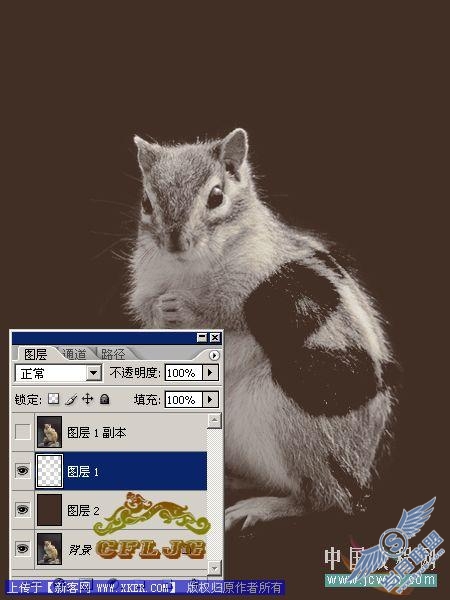 PS抽出滤镜运用实例 松鼠的爱