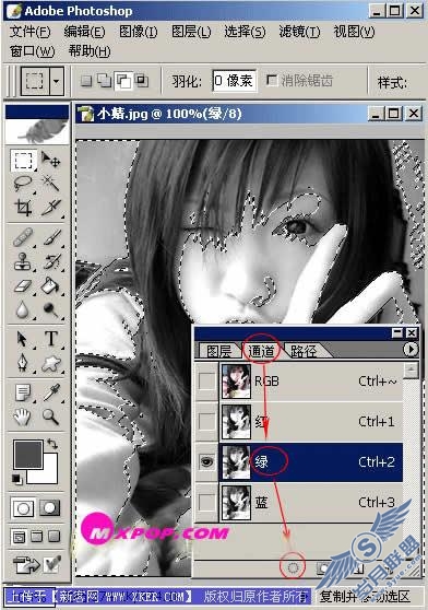 PhotoshopV.ONaiķƬ̳