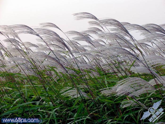 Photoshop打造浪漫的海景婚片