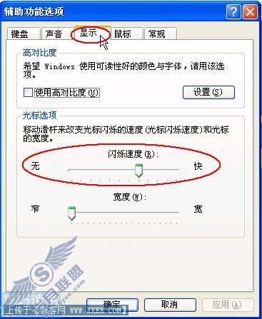 Windows XP中鼠标输入光标的调整