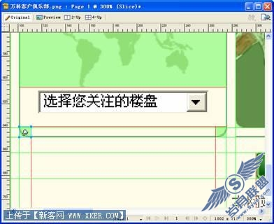 新手看过来