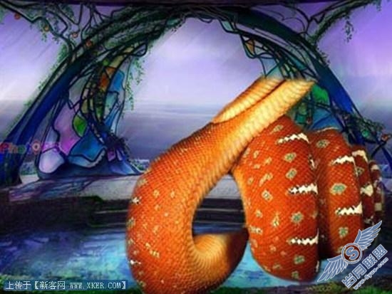 Photoshop合成逼真的蛇美人—移花接木