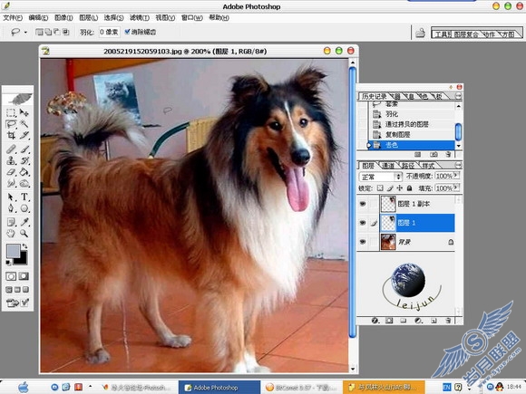 Photoshop给美丽的狗狗抠图