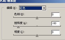Photoshop调出人物照片流行的艺术灰色调