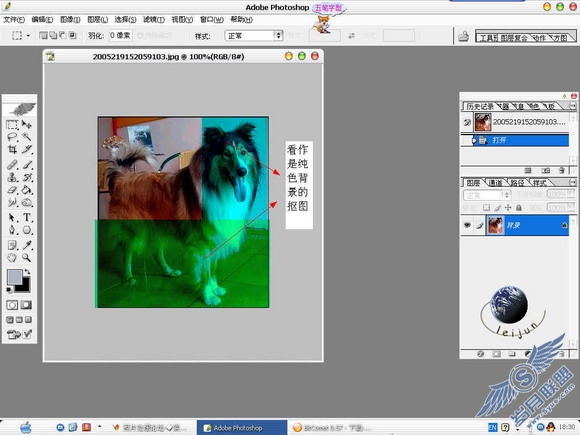 Photoshop给美丽的狗狗抠图