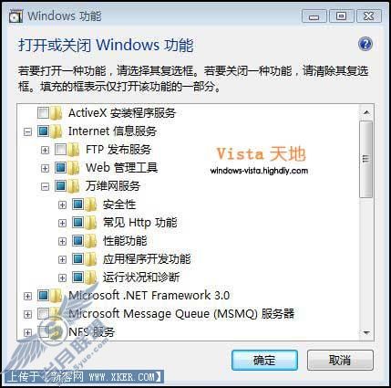 IIS