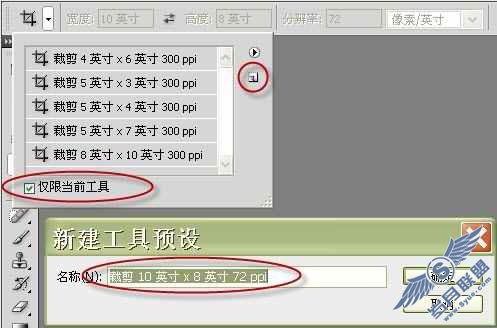 Photoshop CS4中预设自定裁剪工具