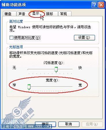 Windows XP中鼠标输入光标的调整