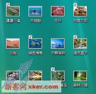 Win Vista操作系统复选框功能试用