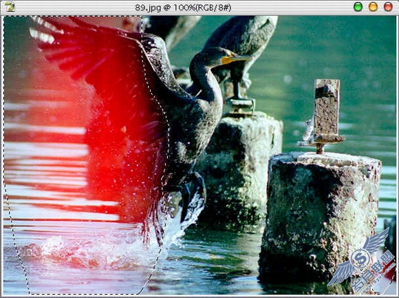 PhotoshopʵֱƬ޸