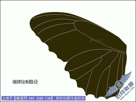 Photoshop鼠绘美丽的彩色蝴蝶