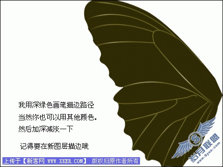 Photoshop鼠绘美丽的彩色蝴蝶