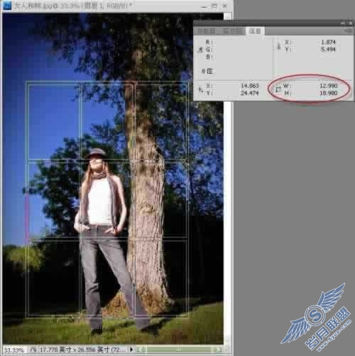 Photoshop CS4三分法裁剪介绍