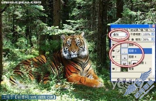 PhotoshopͼƬϳʵŻɽ_켫ת