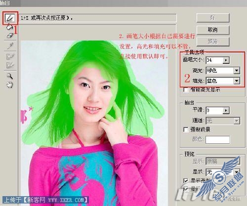 图4 Photoshop抽出滤镜设置