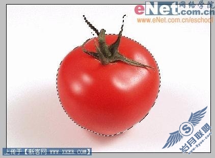 PSIRСŮħ֮ˮ(2)