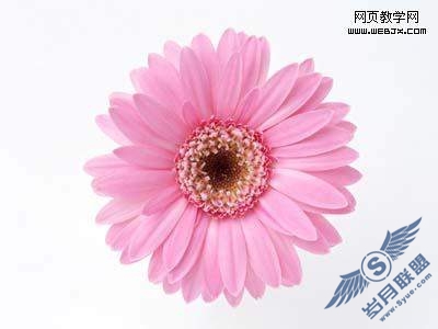 Photoshop签名制作教程:永不消失的电波