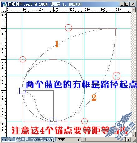 叶形