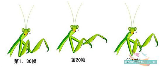 绘制逼真螳螂