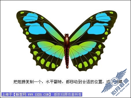 Photoshop鼠绘美丽的彩色蝴蝶