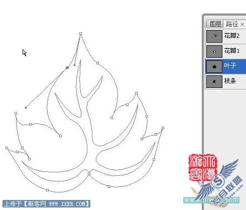 Photoshop鼠绘实例:手绘牡丹花的方法
