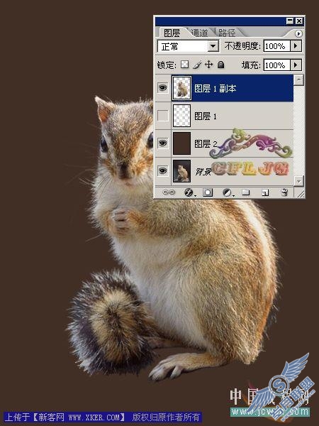 PS抽出滤镜运用实例 松鼠的爱