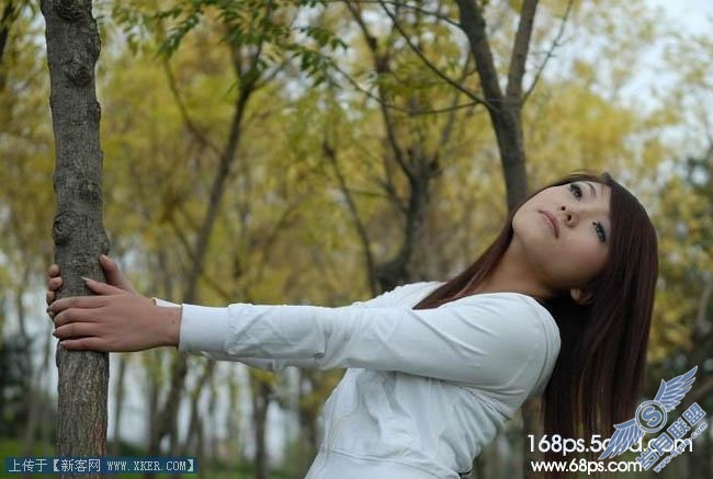 与泽风格之调出照片的照片的梦幻蓝色调