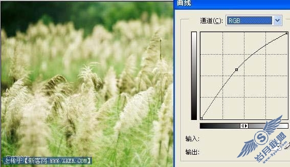 Photoshop利用风景图片制作精美签名效果
