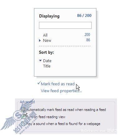 IE7Beta3RSSĶܲȫͼĽ˵