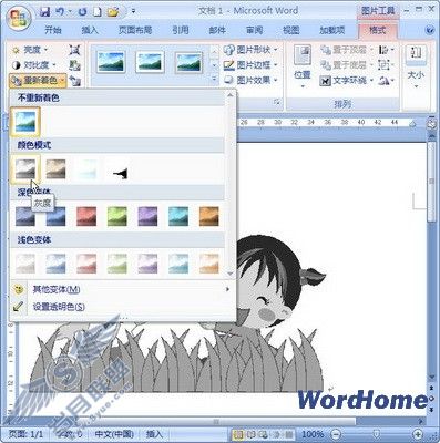 Word 2007ĵΪɫ