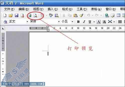 Word 2003 ͼƬʾ