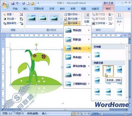 在Word 2007文档中设置剪贴画映像效果