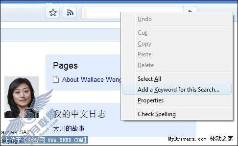 关于Firefox 3你不知道的八个功能