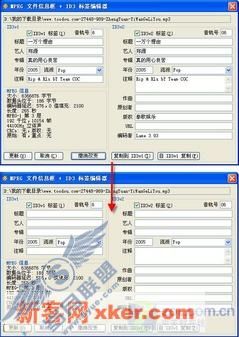 音乐播放软件老搭档 酷我歌词