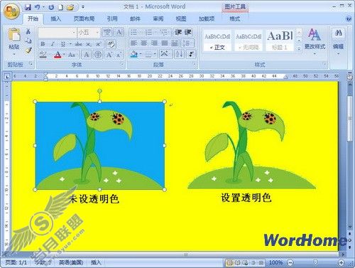 Word 2007ĵͼƬ͸ɫ